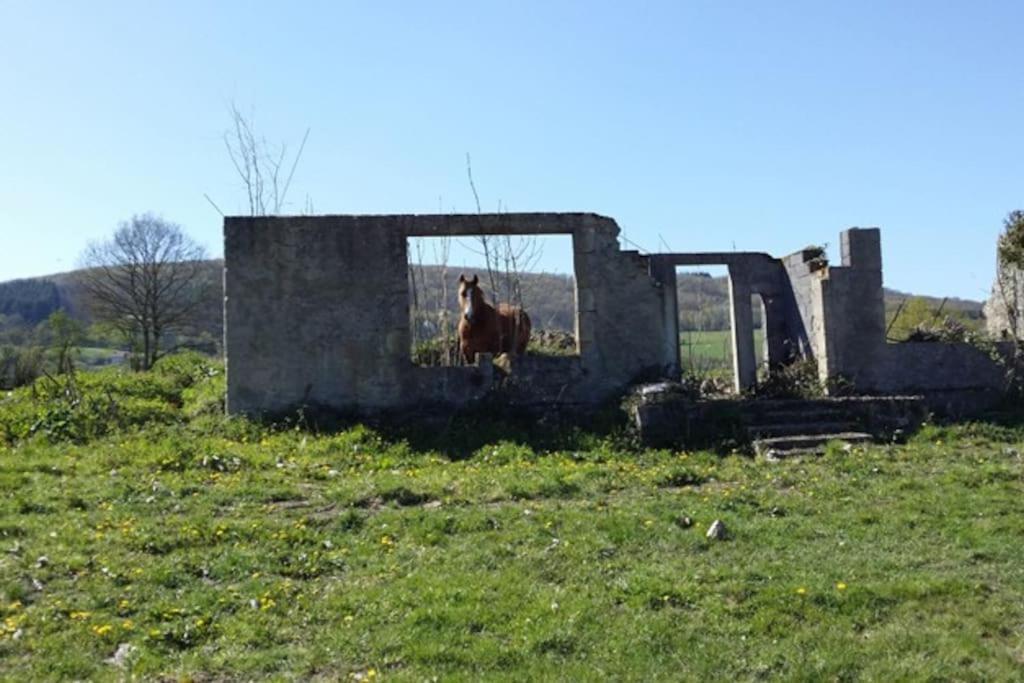 Maison Vue Superbe, 1-6 Pers, Teilhet, Auvergne Extérieur photo